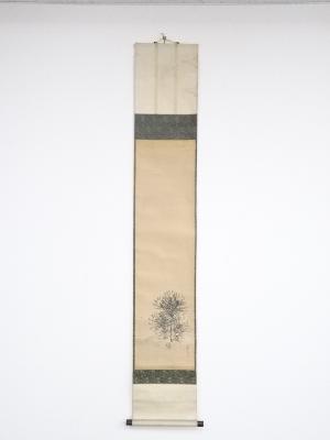 松村景文筆　旭日松図　肉筆紙本掛軸（保護箱）